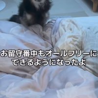 現在はのびのびと暮らしているそう♪