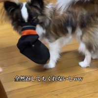 絶対に離さない！！