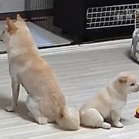 アニメのワンシーンのよう