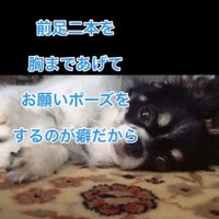 ちーちゃんとの出会い4