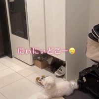 「かえってきてぇ」