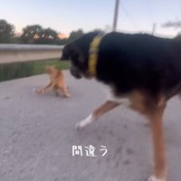 カオスな光景