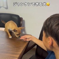 負けてもしっぽをフリフリ♪