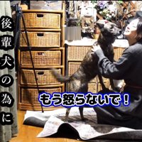 飼い主に抱きつく犬