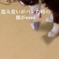 オヤツを放り出して…