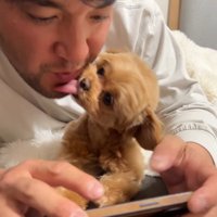 投稿主の顔を舐める小型犬