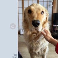 切ない表情にキュン…♡