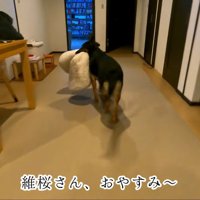 「わたしも寝る！パパ、おやすみ～」