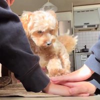 チャレンジ大成功！！