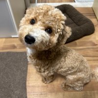 成長中のたむ君2