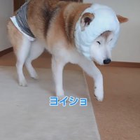 手作りのヘッドギア