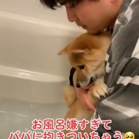 湯船を見るまろ君