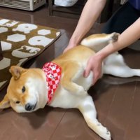 後ろ足でキック！