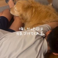 元気づけるきなこちゃん