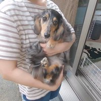 抱っこしたら軽すぎてびっくり！