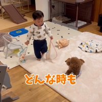 立っている赤ちゃんと座る犬