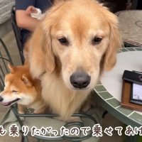 美味しいランチに舌鼓♡