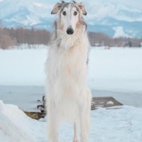 自分が主役のソロショット！