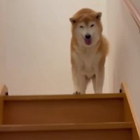 「上がってきてくれてありがと♡」