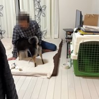 自分から近づいて、お顔をスリスリ