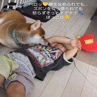 男の子をなめる犬