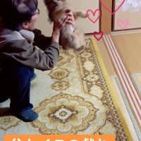 溺愛ぶりが伝わる…