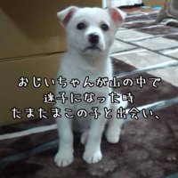 おじいちゃんが発見した