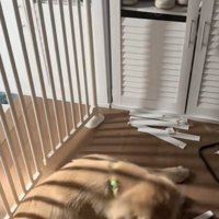 確かに見やすい…
