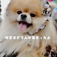 可愛すぎて大人気♡