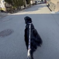 まさかの素通り