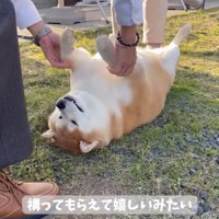前足を持つおじいちゃん