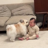 片足を上げる小太郎くん