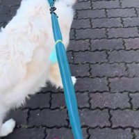 さりげなくアピール