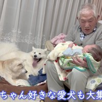 わんこたちも駆けつけた