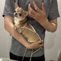抱っこ