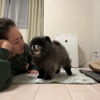 幸せな光景に心温まる…