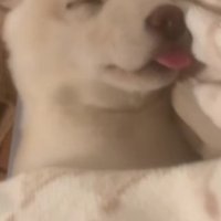 「ギイイイイ」