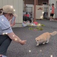 「あ…ママだ」