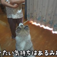 赤ちゃんと初対面