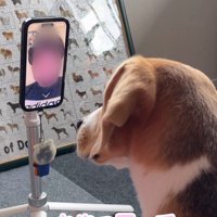 態度が違いすぎる…！！