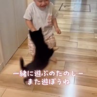 男の子の前で飛び跳ねる子犬