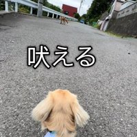 「負けないぞ！かかってこい！」