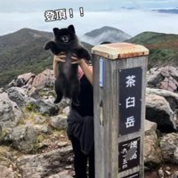 山頂で飼い主に抱き抱えられる子熊のような見た目の犬