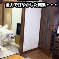 大好きな人が帰ってきた！