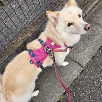 つるちゃんの日常3