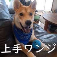 「上手に止められたよ♪」と得意げなお顔