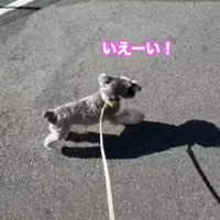 診察後はダッシュで帰宅！