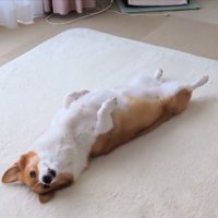 ピロピロ