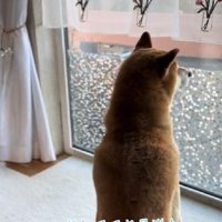 「また来てくれるよね」