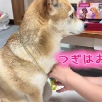 ブレスレットも付けよう